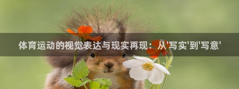 3377体育官方app下载：体育运动的视觉表达与现实再现：从\'写实\'到\'写意\'