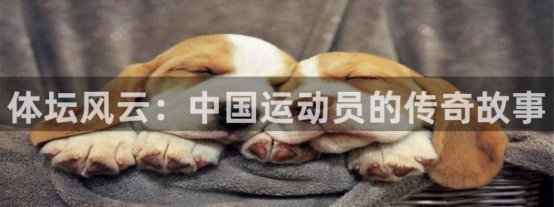 3377体育在线：体坛风云：中国运动员的传奇故事