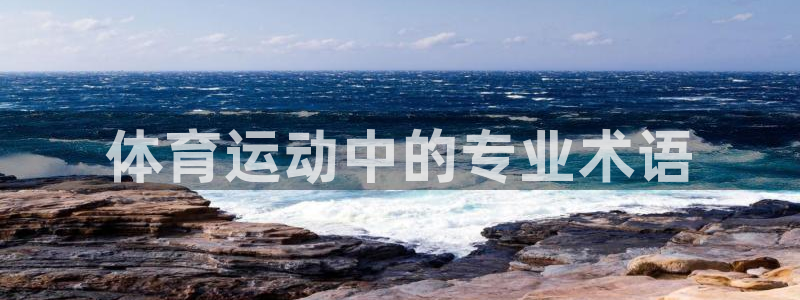 3377体育app官方下载：体育运动中的专业术语