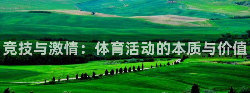 3377体育网页登录入口：竞技与激情：体育活动的本质与价值