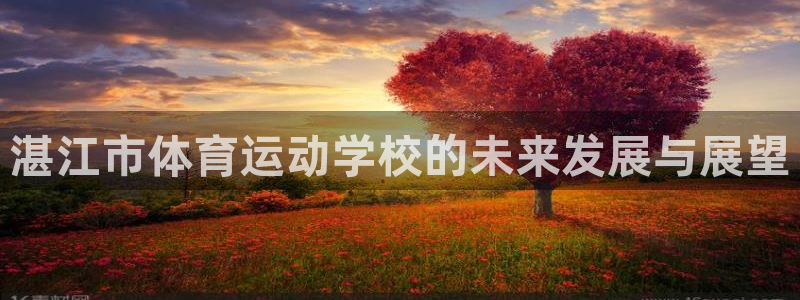3377体育是正规的吗：湛江市体育运动学校的未来发展与展望