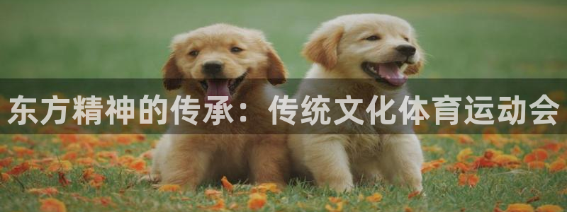 3377体育中国官方网站入口：东方精神的传承：传统文化体育运动会