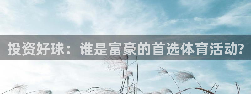 3377体育平台：投资好球：谁是富豪的首选体育活动?