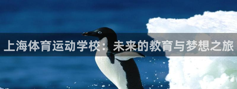 3377体育官网入口网页版